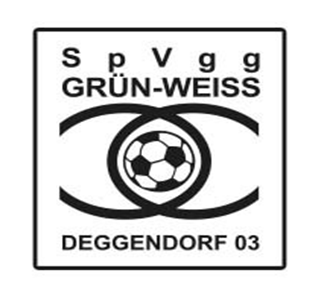 spot_img